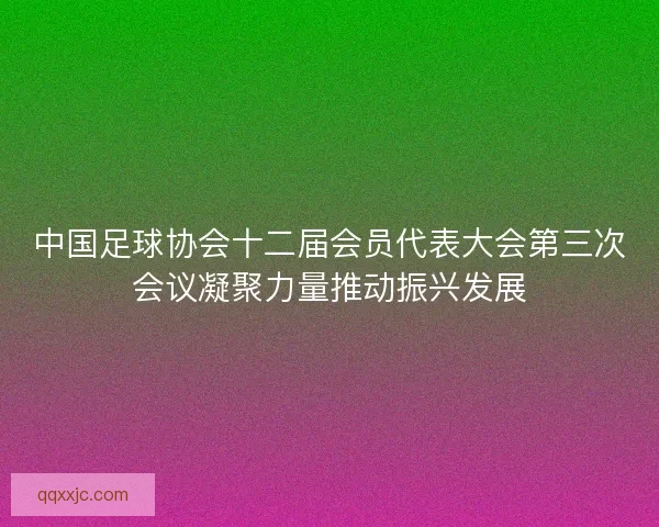 中国足球协会十二届会员代表大会第三次会议凝聚力量推动振兴发展