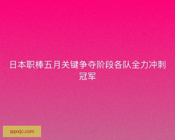 日本职棒五月关键争夺阶段各队全力冲刺冠军